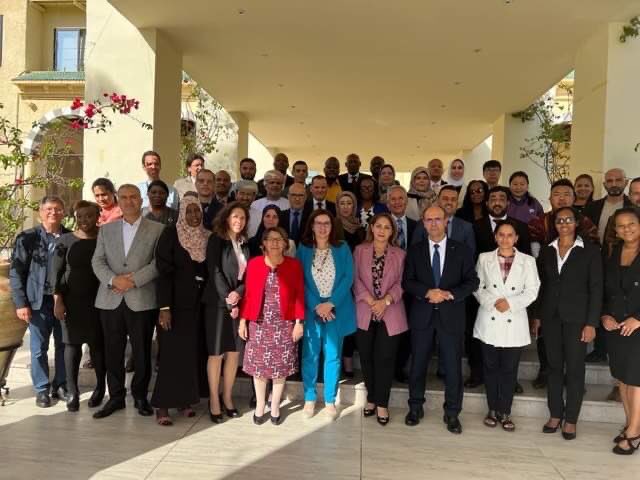 SAI_Tonga's tweet photo. This week our audit manager Catherine Mafi is in Tunisia alongside @SgAFROSAI  and @AsosaiJournal to take part in reporting performance audit on “Resilient National Public Health System” hosted by @INTOSAI_IDI https://t.co/peIkHykpeH