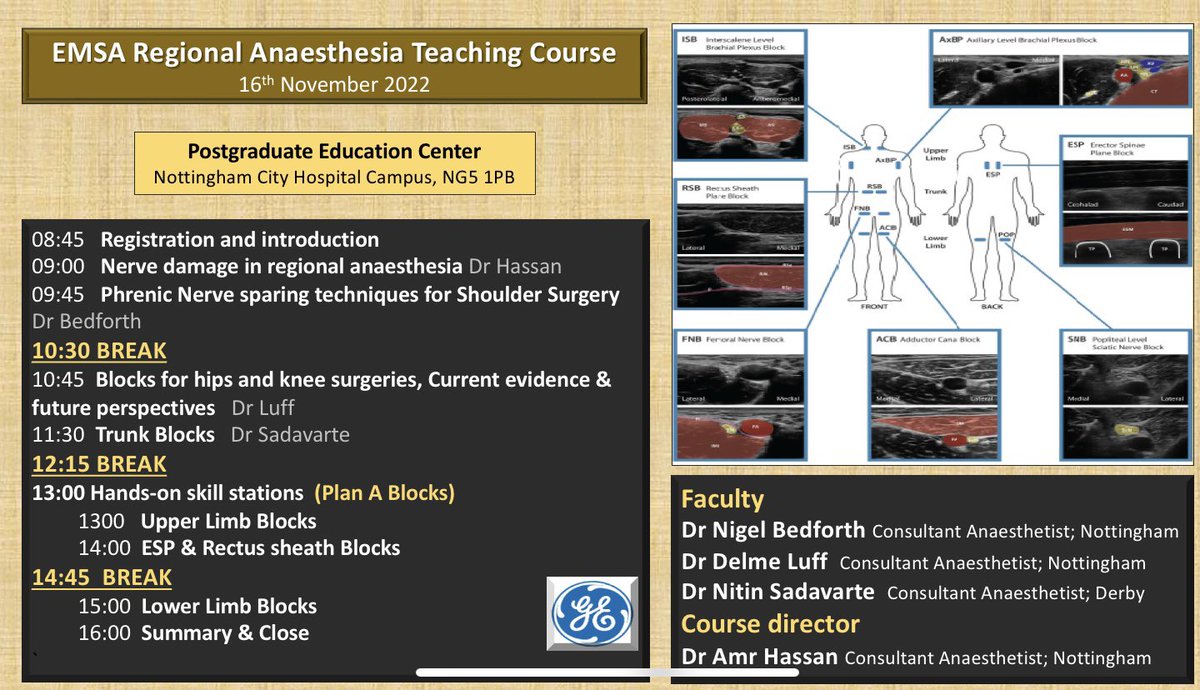 Amr Hassan tweet media