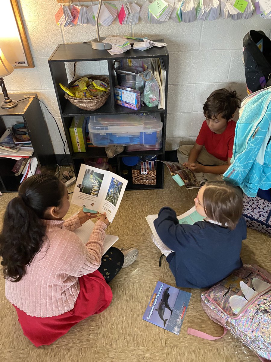 ms. ryan tweet media