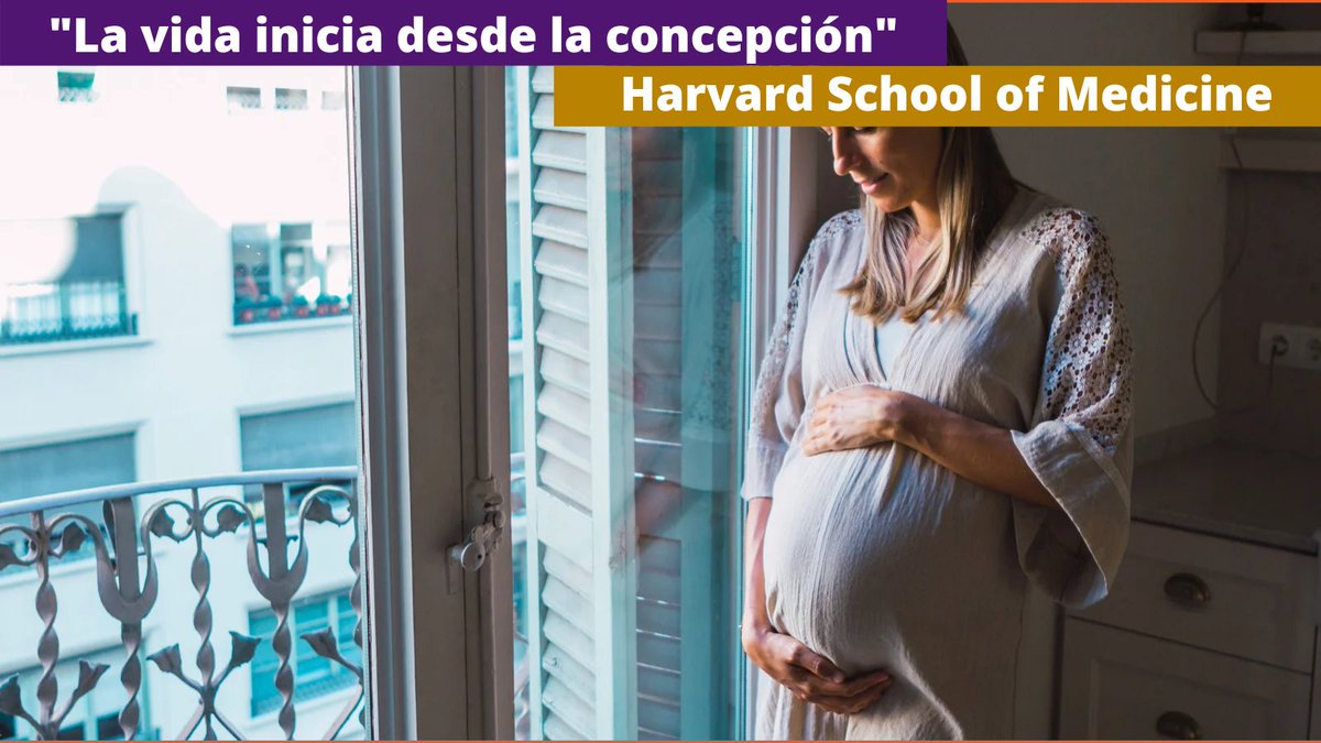 enrumbaorg's tweet photo. Aún la ciencia confirma que la #vida humana inicia desde la #concepción

El #aborto es uno de los actos de mayor cobardía, crueldad y maldad de la sociedad actual

#EmrumbaOrg #DecidoAmar
#CuidolaVida #DefiendolaVida #SialaVida #NoalAborto #NoMásAborto 
#Maternidad

@enrumbaorg https://t.co/yTj5hEVzVl