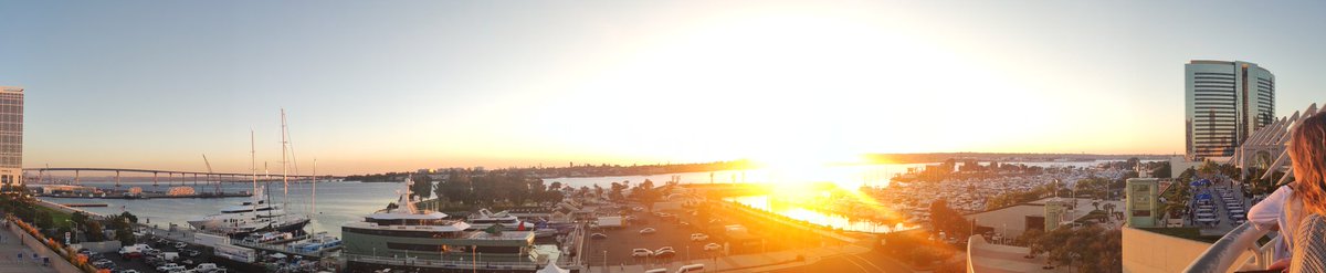 Dr. Margarida Trigo tweet media