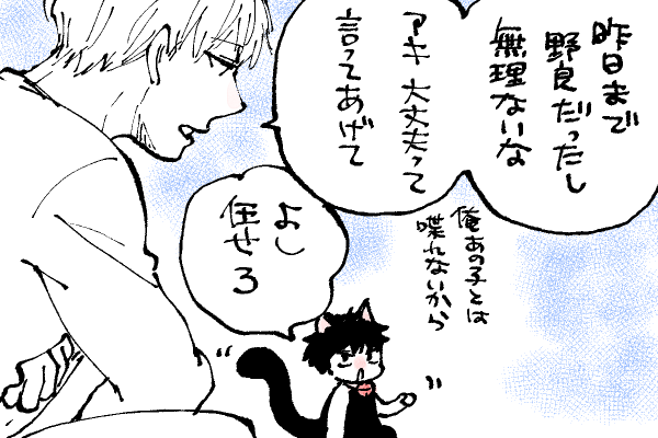🐱キラキラにゃんこ生活
忍者🤣

⚠️にゃんこブランケット本日の23:59までとなっております🙏ご注意ください 