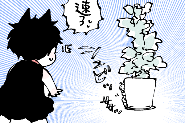 🐱キラキラにゃんこ生活
忍者🤣

⚠️にゃんこブランケット本日の23:59までとなっております🙏ご注意ください 