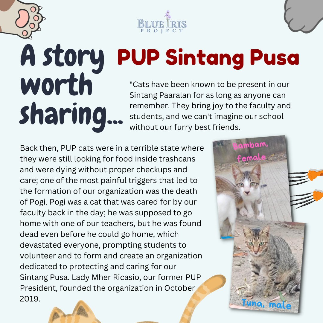 blueiris2022's tweet photo. #NOvemBALLS #SpayandNeuter #BlueIrisProject https://t.co/IS5UVn0OaB