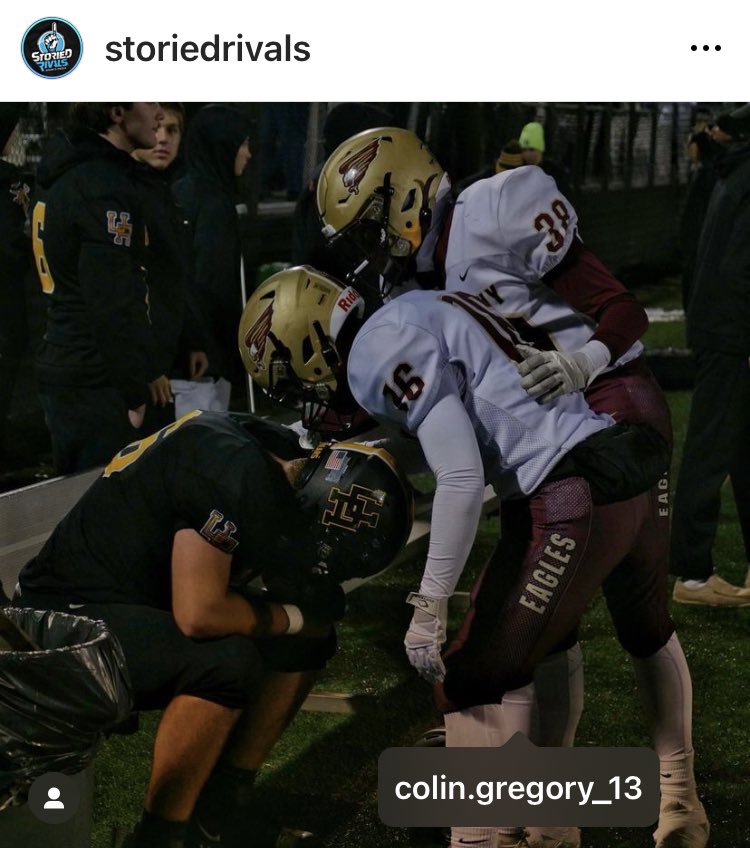 Collene Gregory tweet media