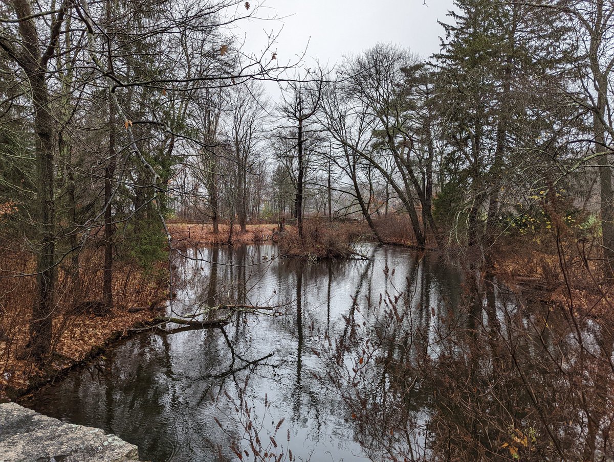 bwaber's tweet photo. A decent amount of rain in Boston today, but not enough to stop a good run and talks for my #AcademicRunPlaylist! Join me over at https://t.co/FmoGGNg4Pa (1/9) https://t.co/4c2aayNrnc