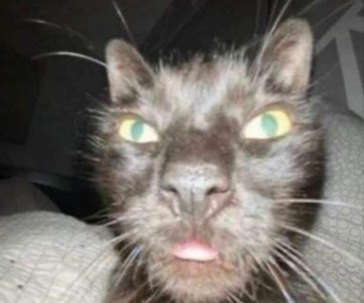 me gusta o solo estoy aburrida