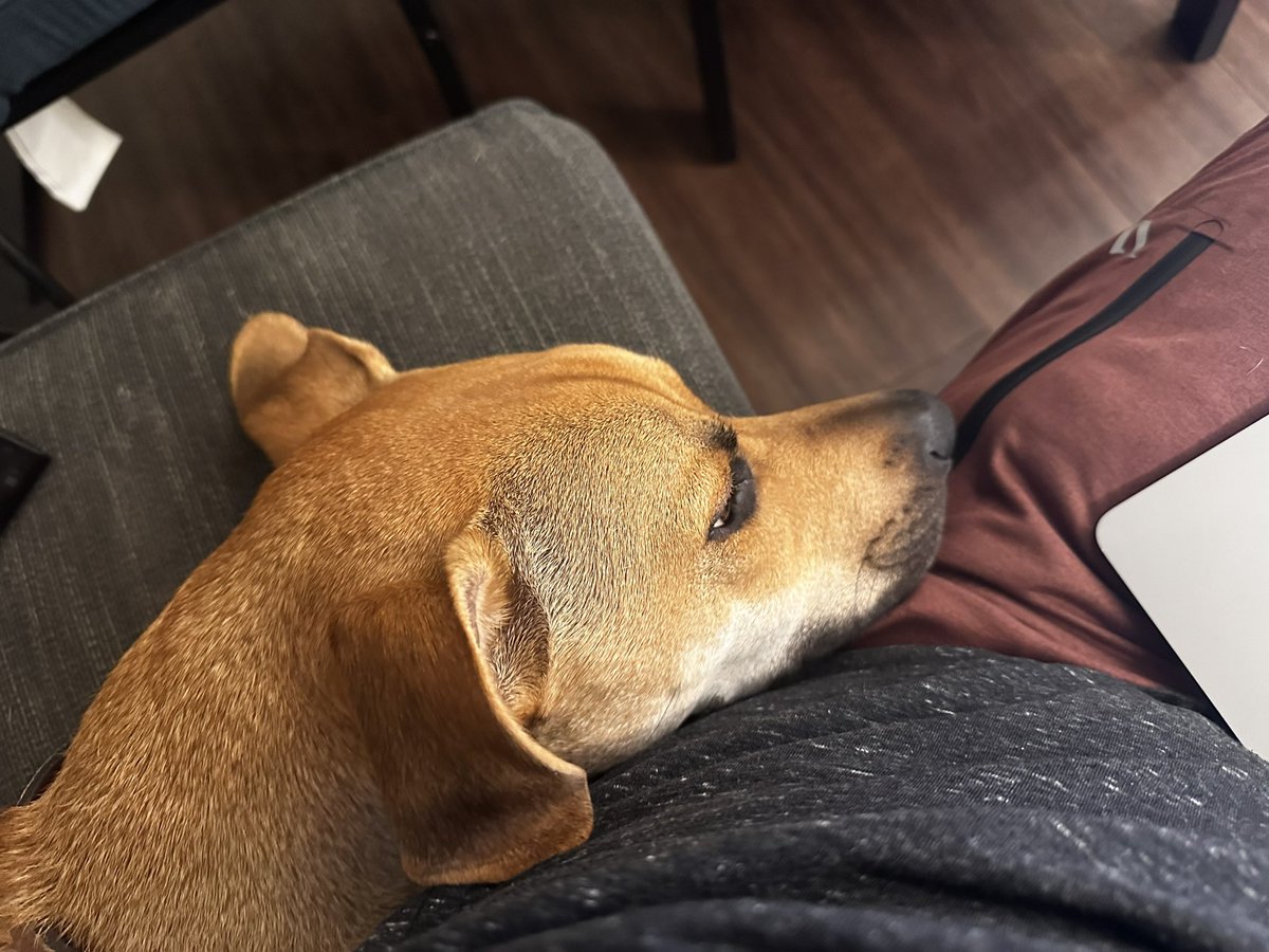 BenTheElder's tweet photo. Trying to finish writing a design doc and someone decided to "help" 🙃 https://t.co/IVGHiCI4g8