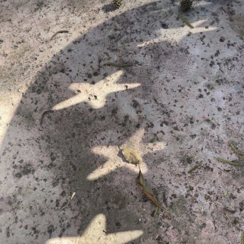 ccstraction's tweet image. ⠀⠀⠀⠀ 𓇬  ㅤ۪ㅤ 📚ㅤ‵ㅤ   consejos para estudiar 
⠀⠀⠀⠀⠀⠀⠀⠀⠀⠀⠀⠀⠀⠀⠀⠀un examen tipo test;