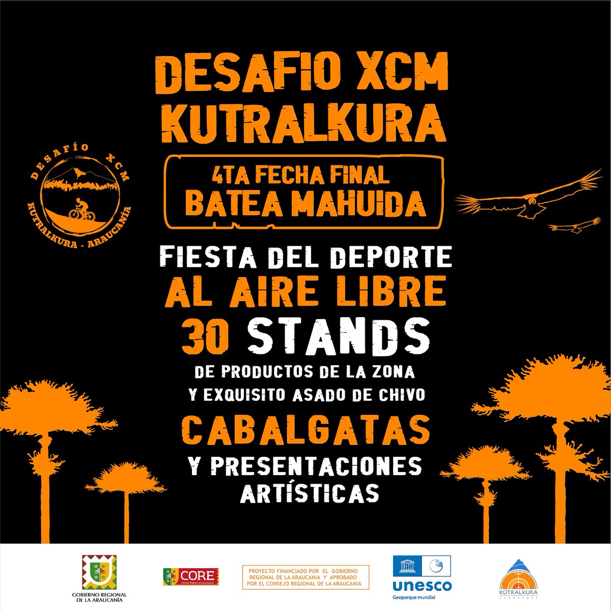 Geoparque Kütralkura tweet media