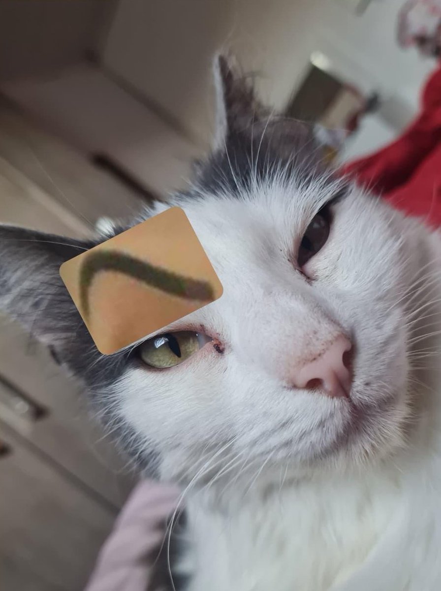 Magic__Baby's tweet image. 🧐