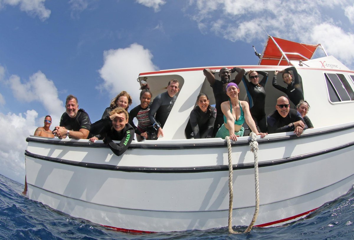 bigappledivers tweet media