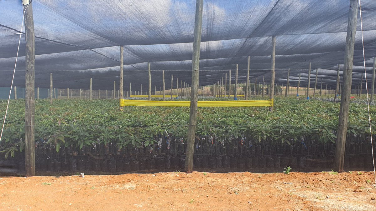Horticulture Crops Directorate tweet media