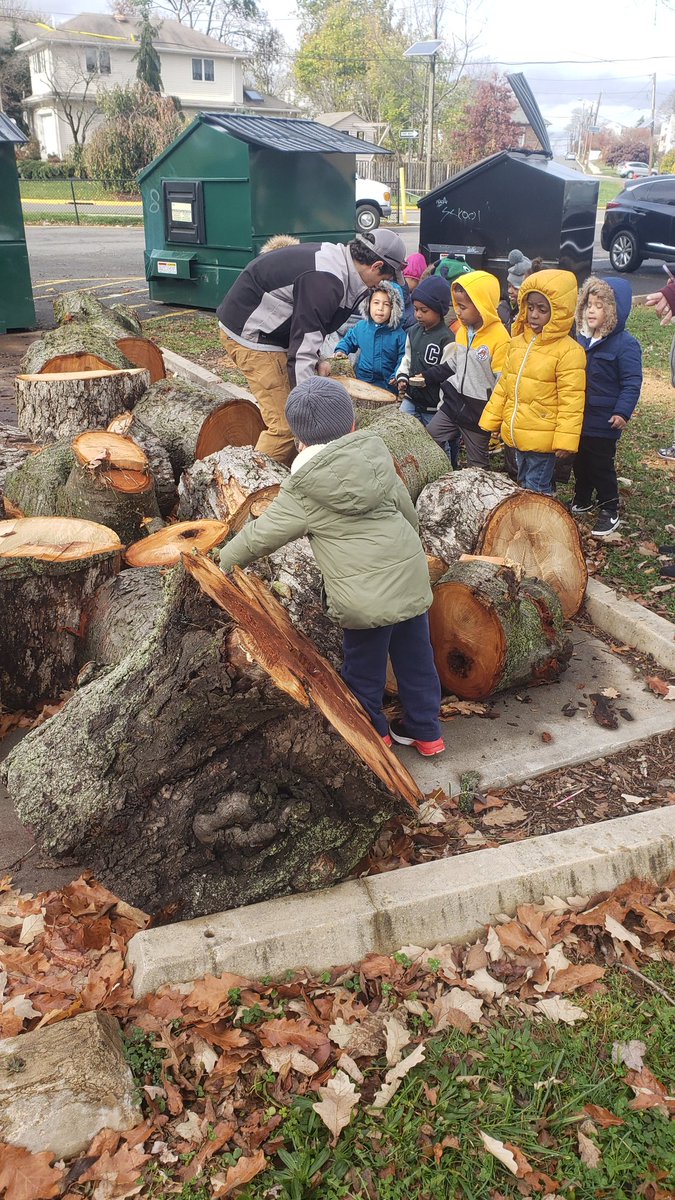 YDomadia's tweet photo. Arborist visited us today! Thank you so much #MrsBalland  for arranging this!
#NBTPrechoolUnited https://t.co/10hA9oAXqy