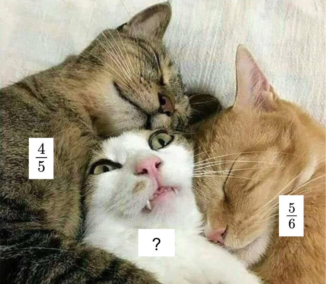 Howie Hua tweet media