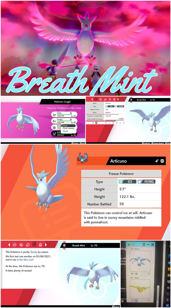 JediKush831's tweet photo. Not a farewell post since I’ll still be hunting in these games but here’s some memorable shiny mons from gen 8 that I’ve collected. #PokemonShield #BrilliantDiamond #LegendsArceus #BriefcaseSimulator #DynamaxAdventures #AlphaShiny #ShinyLegendMascot #AceShinyHunters https://t.co/qQZXb9FhVk