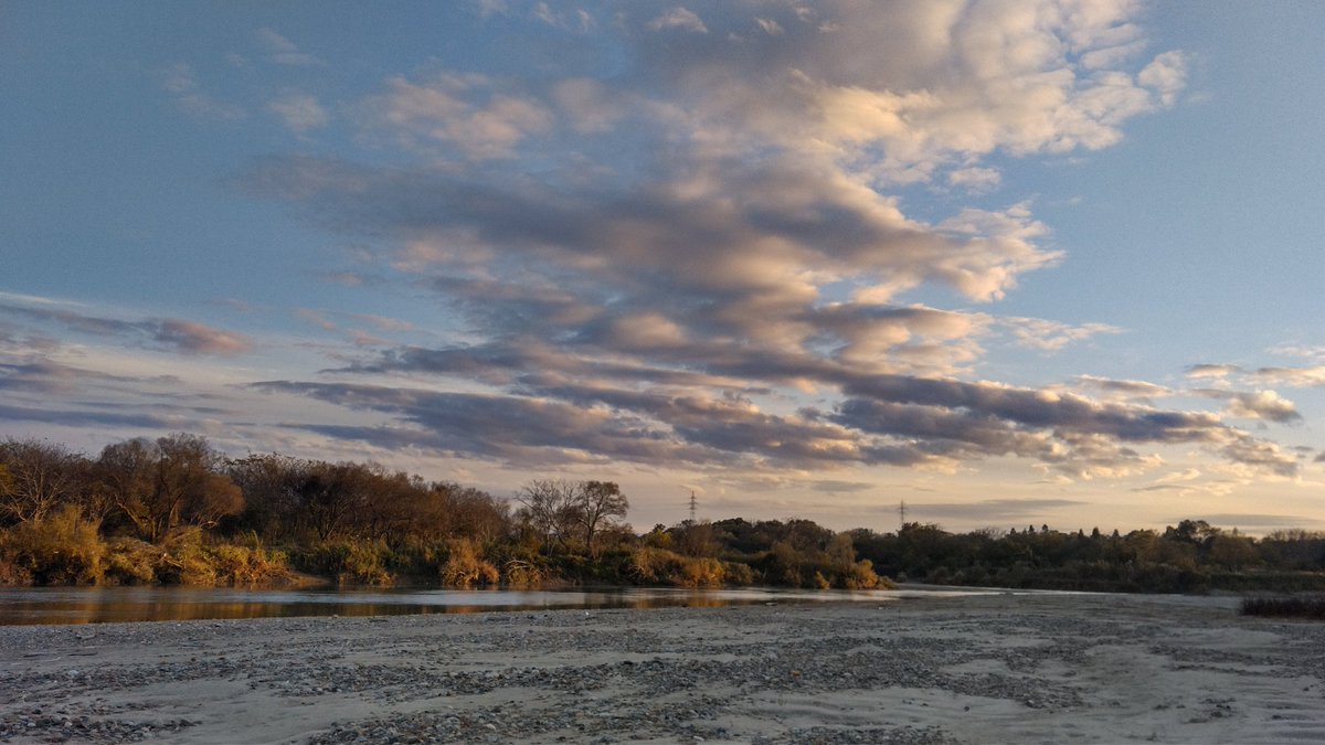 「たぶん鮭の骨と流れてきた鮭と景色。バス釣りにいったのに、落鮭しか見れませんでした」|mimicのイラスト