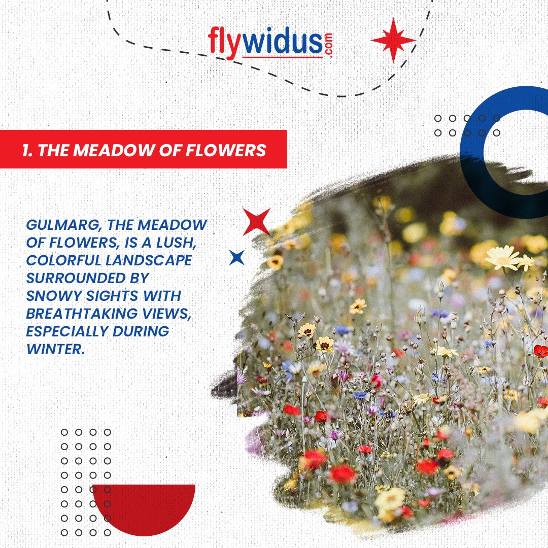 flywidus's tweet photo. #Gulmarg in #winter looks like a cherished dream. The enchanting scenery of Gulmarg is enough to make your jaw drop in awe. The hot cup of #Kahwa is what you need to get mesmerized by the endless views of snow-capped mountains and the valley.

 https://t.co/3GSJeQfusP 

#flywidus https://t.co/Qm43qYeCDb