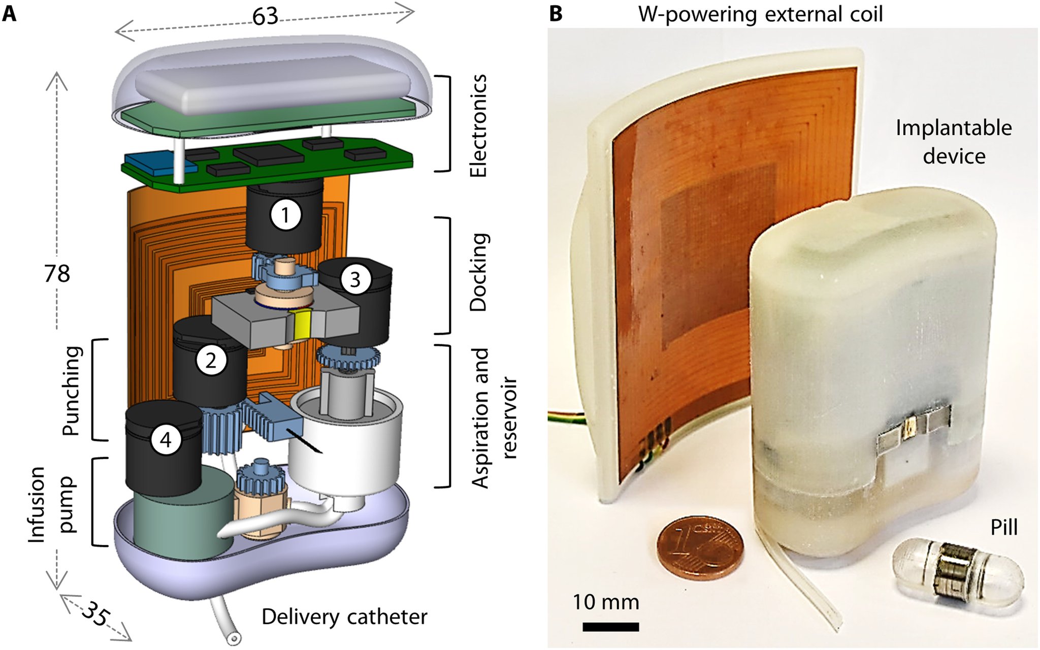 Science Magazine on Twitter: 