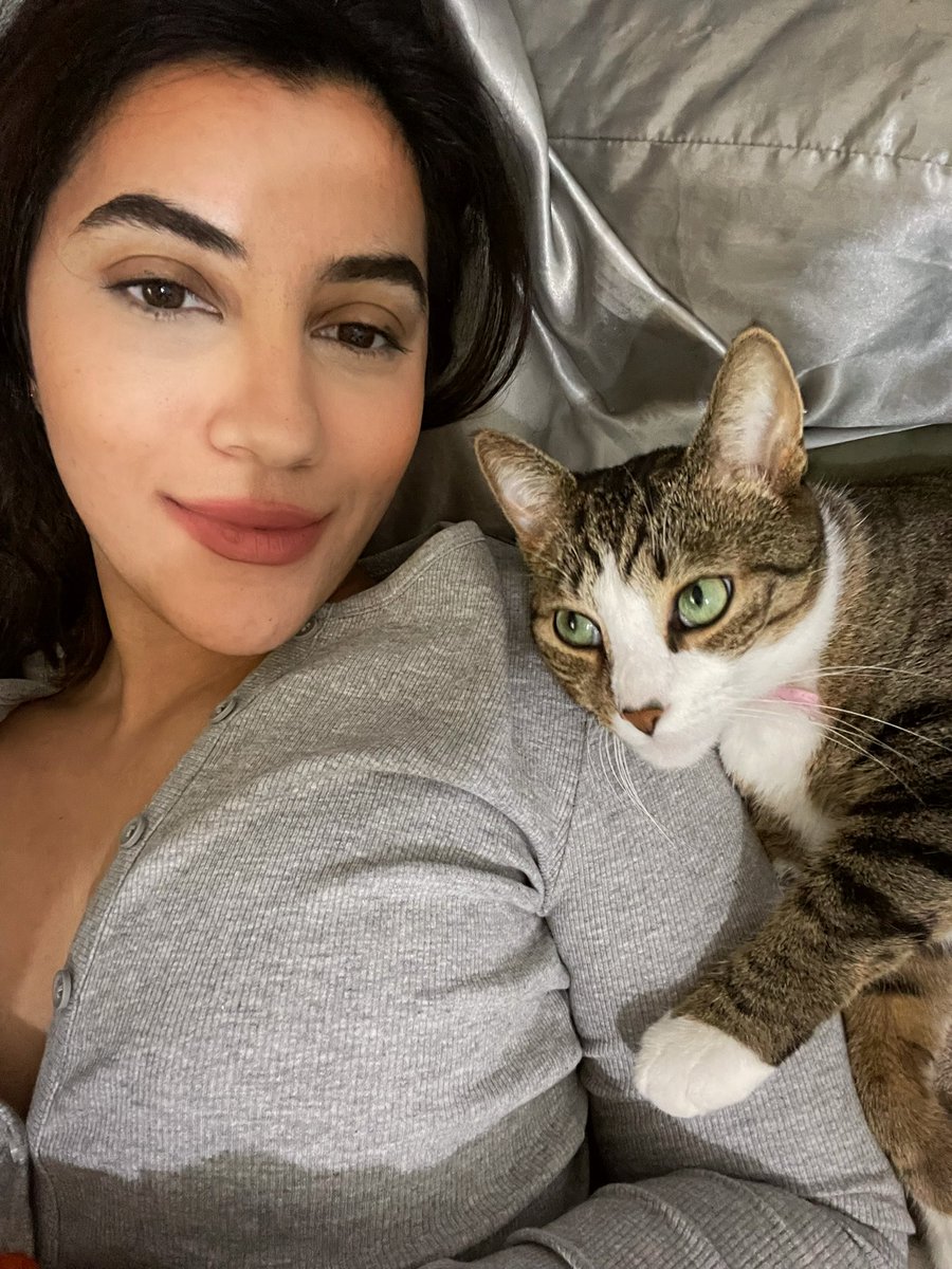 sohhfia's tweet photo. She’s my favorite person🐱 https://t.co/XNeihzq7y8