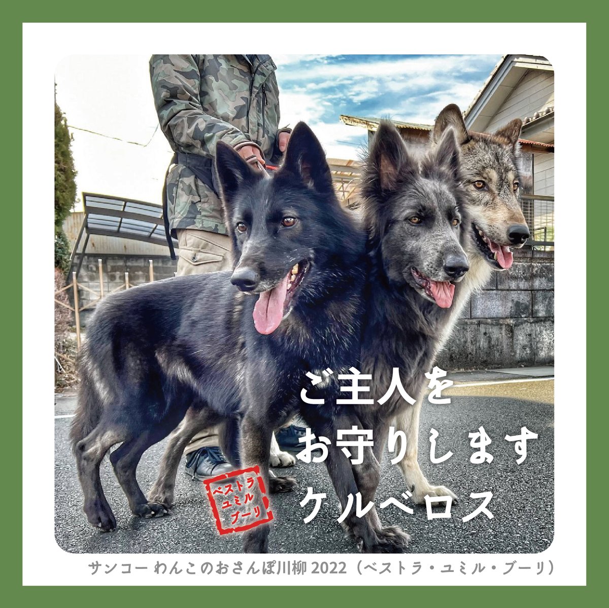 犬の日 Twitter Search Twitter