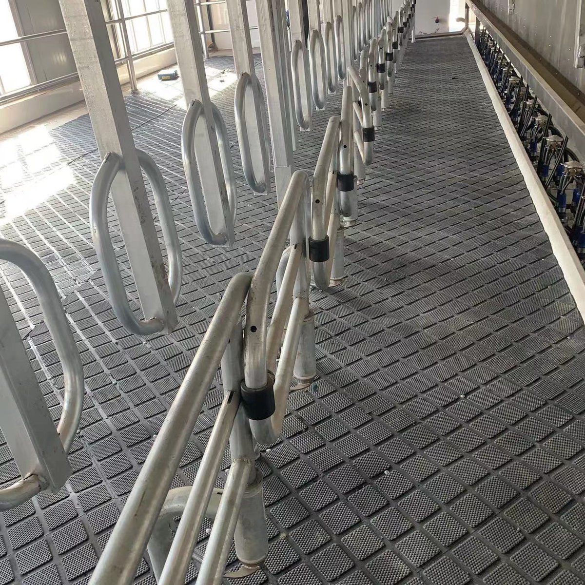 KatnissWang3's tweet image. In the past ten years, we have focused on the research of animal husbandry mats, in order to create comfortable mats for cows, prevent cows from falling down, comfortable milking environment, to ensure milk quality and animal health.#cowmat #Cowpasture