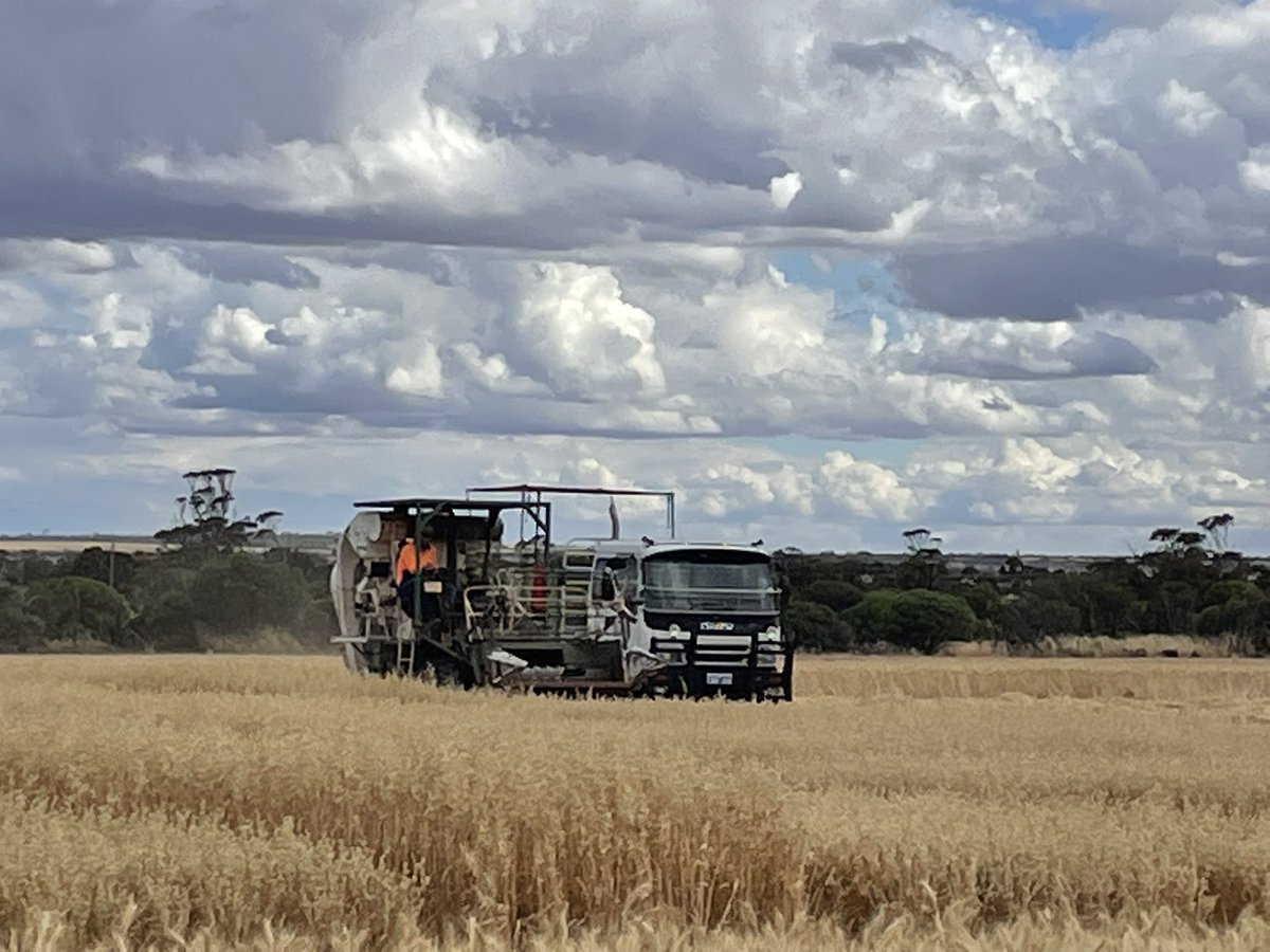 Louise Barton tweet media