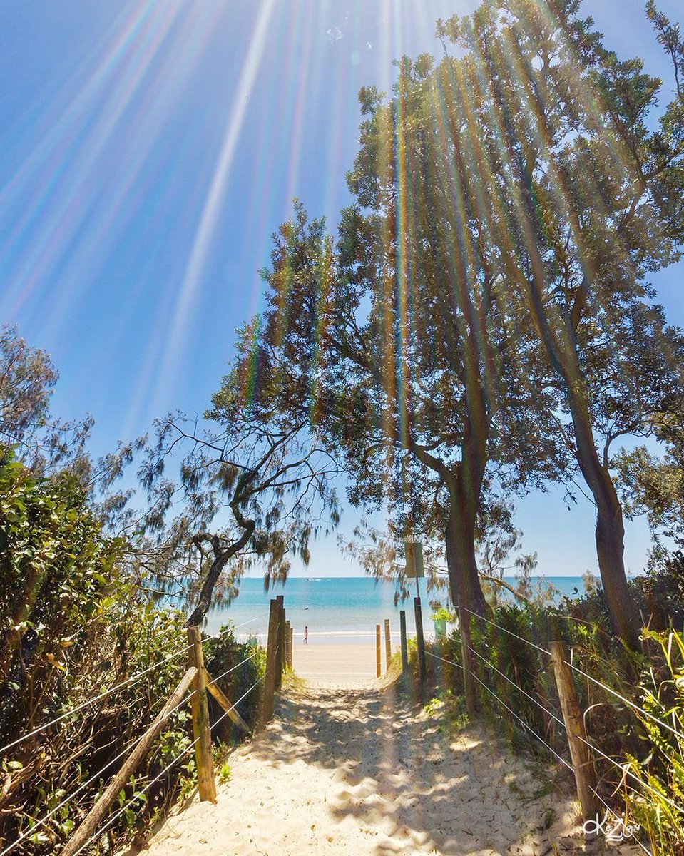 Talk about a Sunshine Moment ☀️💛 #Mooloolaba beach is calling and you won't run out of things to do 🌊 Grab a delicious coffee from @theveloproject ☕ And jump aboard a cultural tour with @saltwaterecotours

#visitsunshinecoast #sunshinecoastforreal #sunshinemoment

📷: @kezign