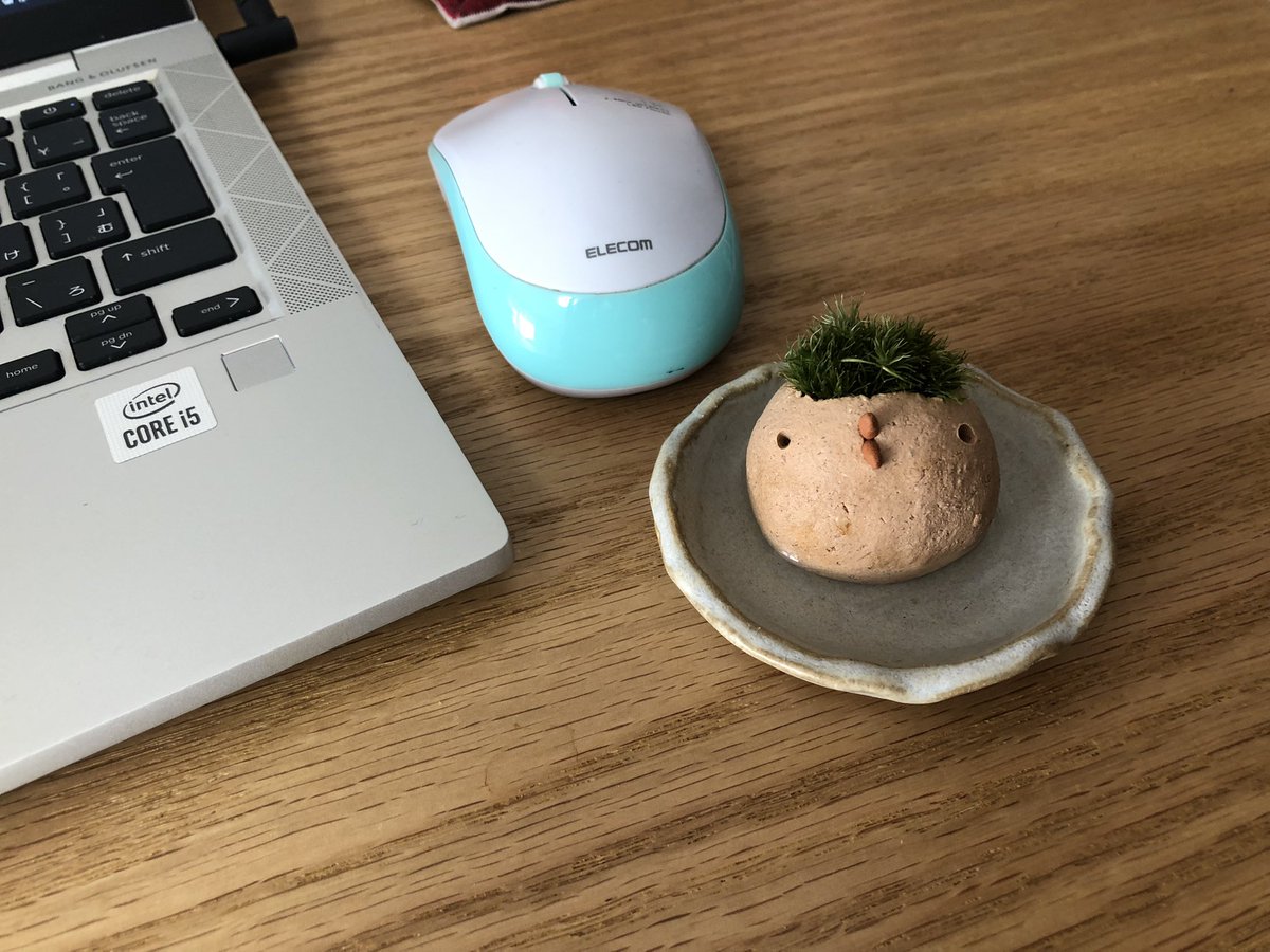 MRT_fujii's tweet photo. そうだった
そうだった
11月の頭に #益子陶器市 へ
遊びに行ったのでした☺️
忙しくて
なんだかすごーく
昔の記憶ですが
たったの2週間前だ😅
例のごとく
色々買ってしまったけど
今すごく
この子に癒されてます☺️
#MOSMOS
#苔
#ピヨ https://t.co/41BqBwdYvJ