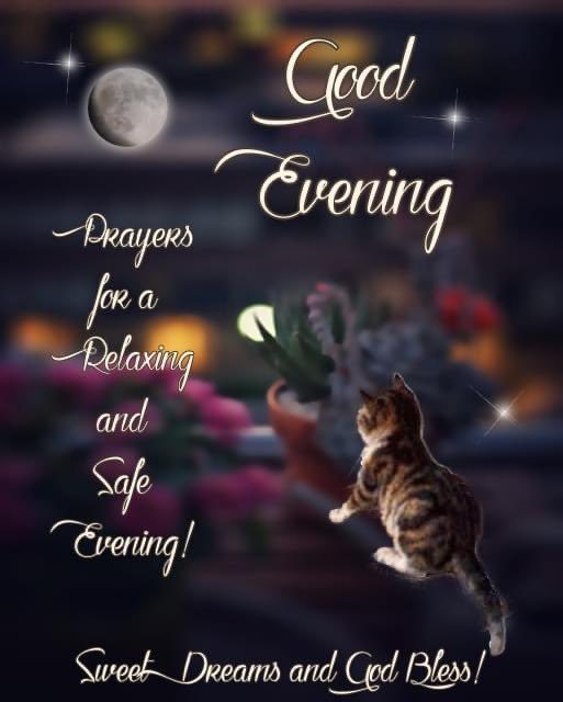 deborah_saffer's tweet photo. #GoodNight All. Tomorrow @josh_saffer Starts his #Career at @GordonRamsay Steak @CaesarsSI His position #PrepCook👨‍🍳 We drove over today to get a Pre-Tour &amp; Information. He’s #Ready‼️ I’m Not. I Hope Everyone had a Truly #Blessed Day &amp; Much #Unconditional Love Always ❄️#ProudMom💙 https://t.co/QhCnc8iT4E