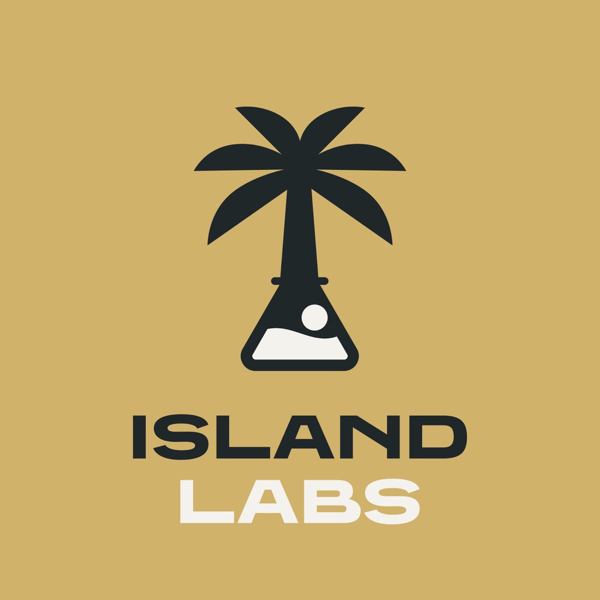 varounsvlogs's tweet image. 1/ Announcement:

I’m so excited to launch Island Labs 🏝️w/ my partner @NittyB_xyz!

Island Labs is a Web3 studio that creates robust production pipelines for generating multimedia assets, products &amp;amp; experiences