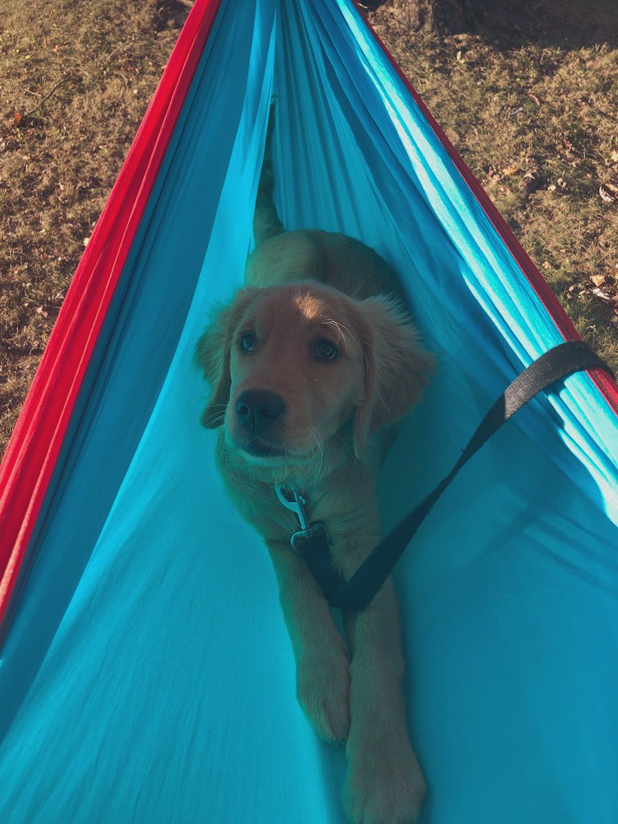 Murphy smiles ft. hammock