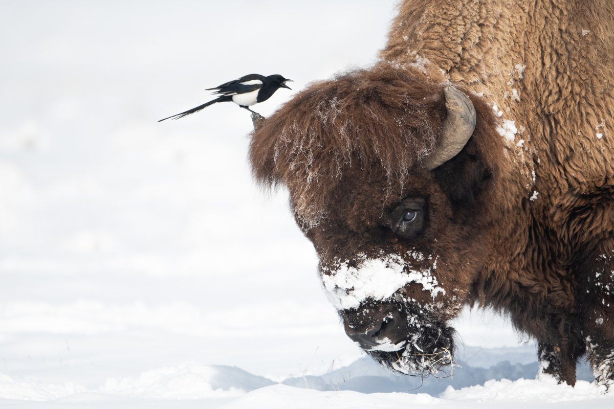 Girls Who Click tweet media