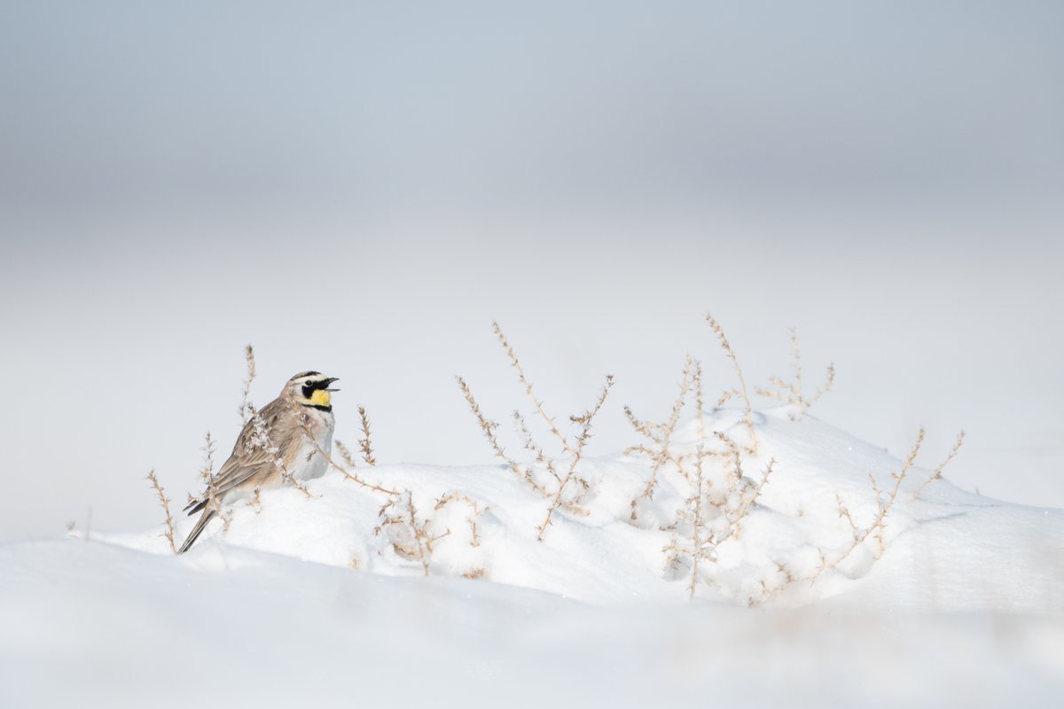 Girls Who Click tweet media