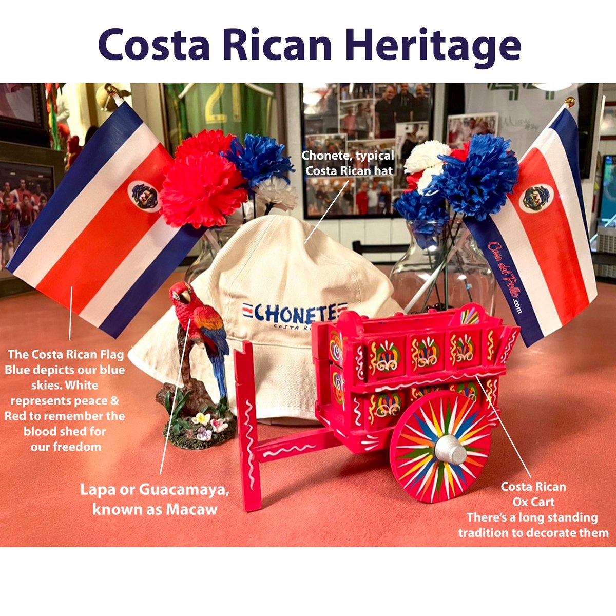 Here’s a little bit of our Costa Rican heritage #costarica #herenciahispana #hispanicheritage #banderadecostarica #ticos #puravida #ticosbelike #ticosporelmundo #upperleftusa #portland #lakeoswego #oregon #ticosaroundtheworld