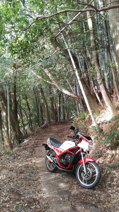 お昼ごはんを買いにゆきます。 