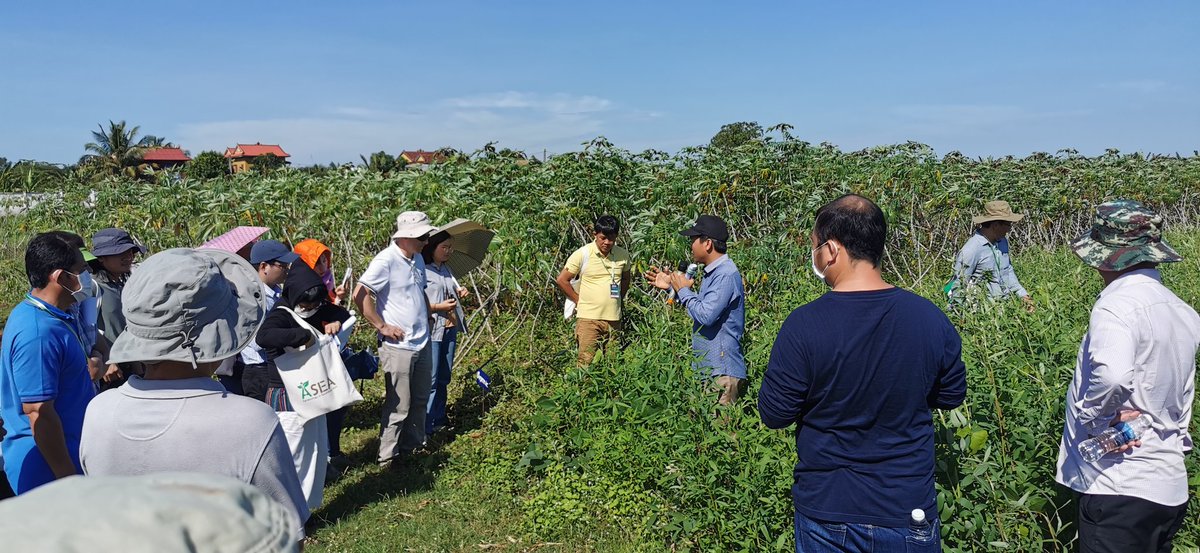MathildeSester's tweet photo. #dp_asea scientific days, with Jean-Paul Laclau, head of persyst department @Cirad, continue by a great field visit at Bos Khnor experimental station #cardec Cambodian #Conservation_Agriculture Research for Development Center. @Inter_dPs @AidaDirecteur https://t.co/LLGqyGmv1k
