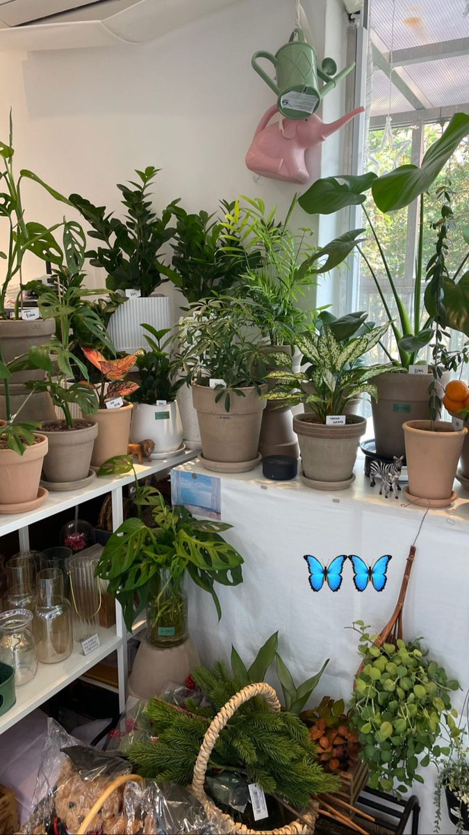 ️️ ️
@𝐞.𝐦𝐢𝐬𝐡𝐞𝐥𝐥𝐢𝐚 story updated   47s

: hi @𝗺𝘃𝗴𝗿𝘁𝗮_ ♡
️️ ️