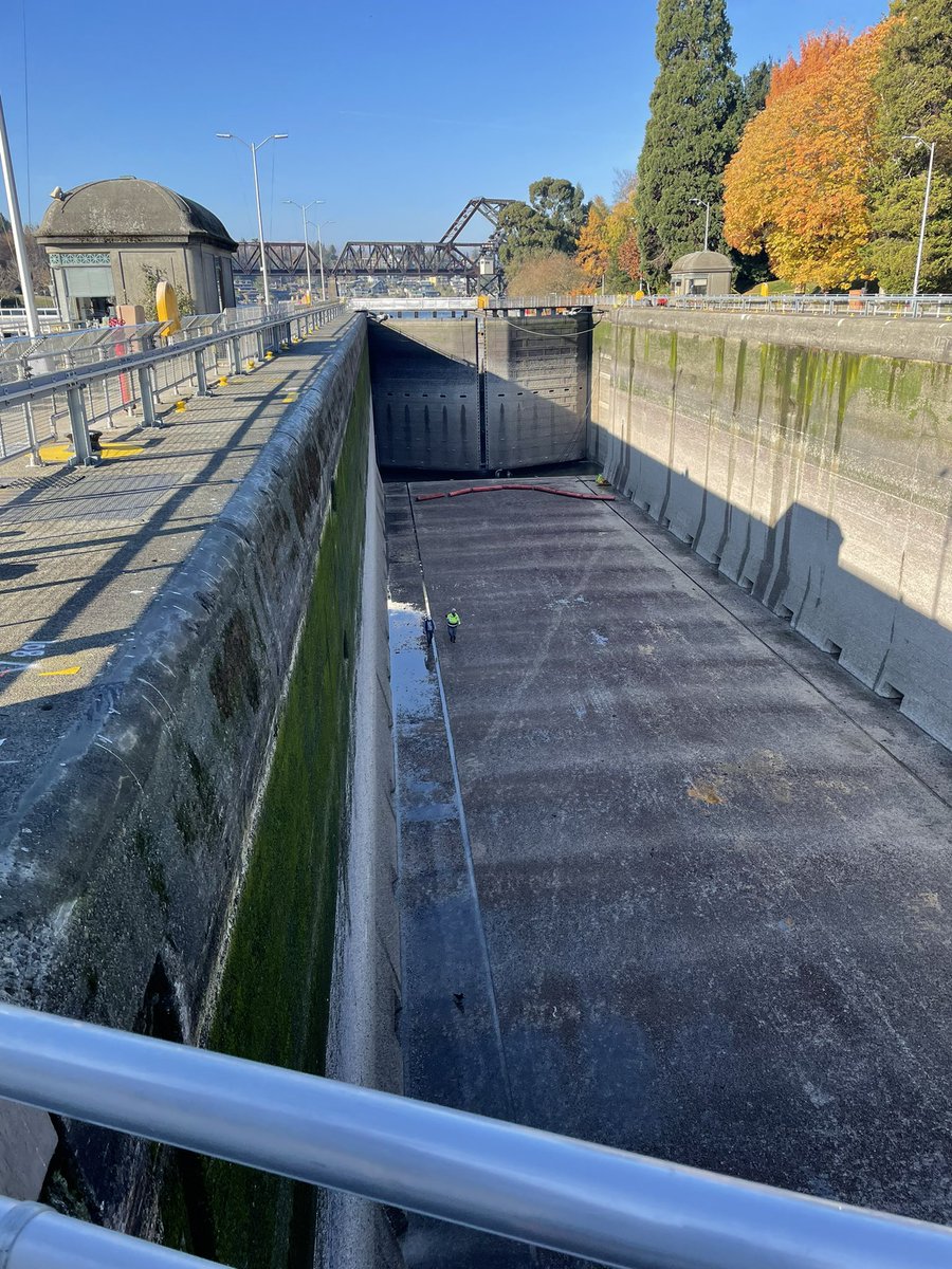 Peter Godman tweet media