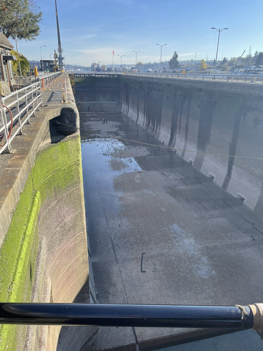 Peter Godman tweet media