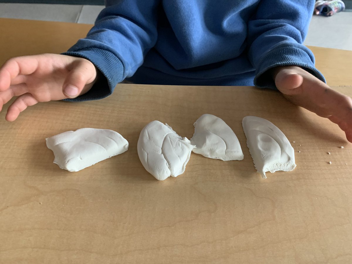 Laura Fee tweet media