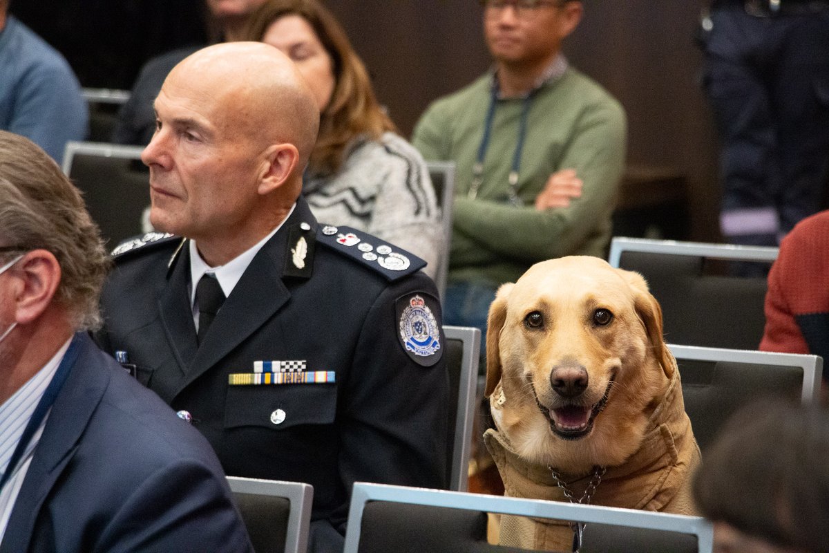 Emergency Management Conference tweet media