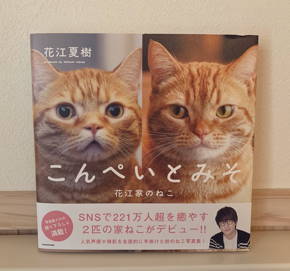 🐈🐈🥰🥹😭🤦‍♀️😊😍🫠😌
#こんぺいとみそ