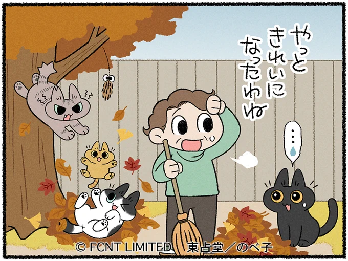マメトクちゃんが更新されました!落ち葉掃除中の公江さんしかしねこたちにはそんなことは関係なく… #マメとトクのひだまり日記 #らくらくまめ得 #猫 #ねこ 