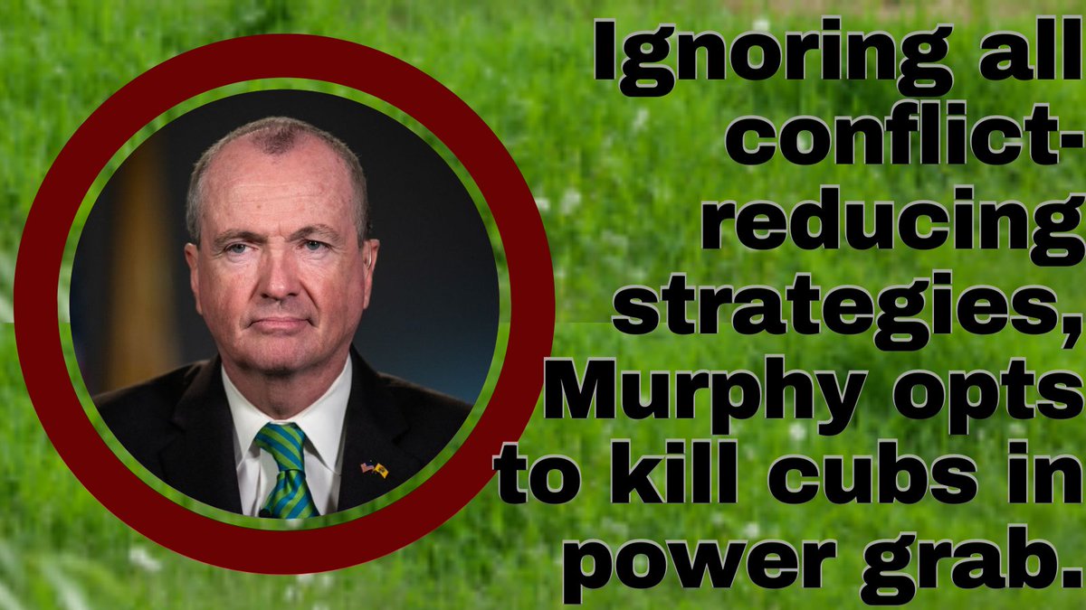 NLGNYC_Animal's tweet photo. Jersey trash will kill 600 black bears and cubs.
@GovMurphy @shawnlatur @NewJerseyDEP @parimalgarg @ebhans @ClimateOfficeNJ #SaveNJBears https://t.co/M9bzJUu7CW