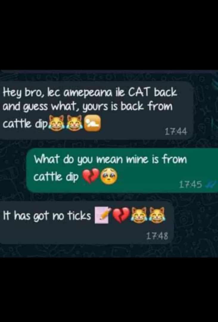 😂😂