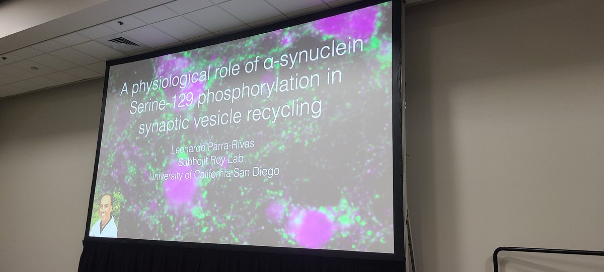 The past seven days have been very intense but quite enjoyable. I met great new people at the Brightfocus workshop, saw old friends and mentors #SfN2022 , and had my first research talk there. PPR submission next :)