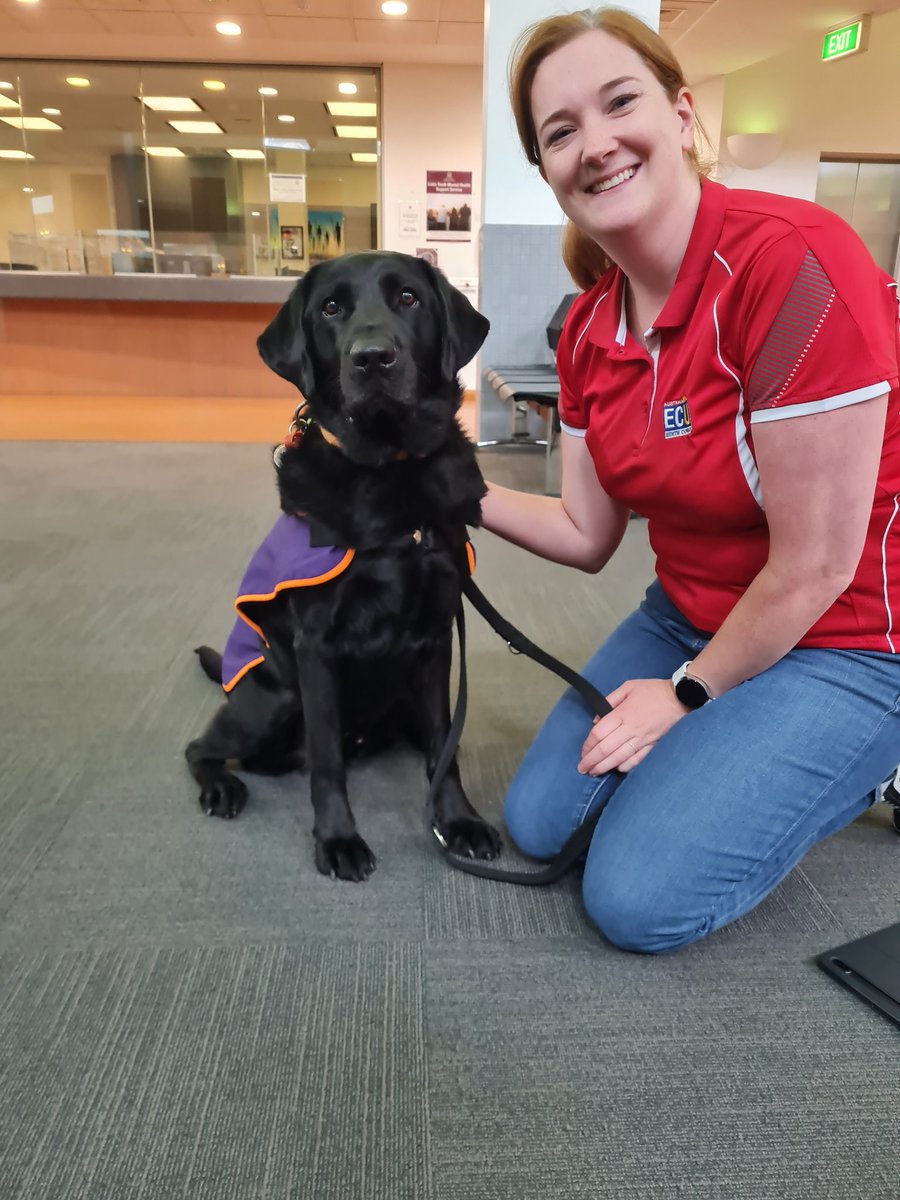 Dr Suz Rock (she/her) (@drsuzrock) on Twitter photo Last day of data collection at Perth Children's Court for our evaluation of the Justice Facility Dog Pilot. Now, onto the write up ahead of the 2022 <a href="/anzsoc/">ANZSOC</a> conference. <a href="/justicewagov/">Department of Justice WA</a> <a href="/guidedogswa/">Guide Dogs WA</a> <a href="/GatelyNatalie/">Natalie Gately</a> <a href="/EdithCowanUni/">Edith Cowan University (ECU)</a> Last day of data collection at Perth Children's Court for our evaluation of the Justice Facility Dog Pilot. Now, onto the write up ahead of the 2022 <a href="/anzsoc/">ANZSOC</a> conference. <a href="/justicewagov/">Department of Justice WA</a> <a href="/guidedogswa/">Guide Dogs WA</a> <a href="/GatelyNatalie/">Natalie Gately</a> <a href="/EdithCowanUni/">Edith Cowan University (ECU)</a>