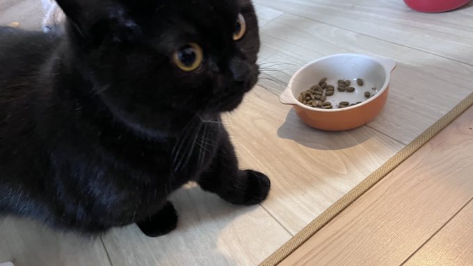 @happako_ito ふひひ…… 