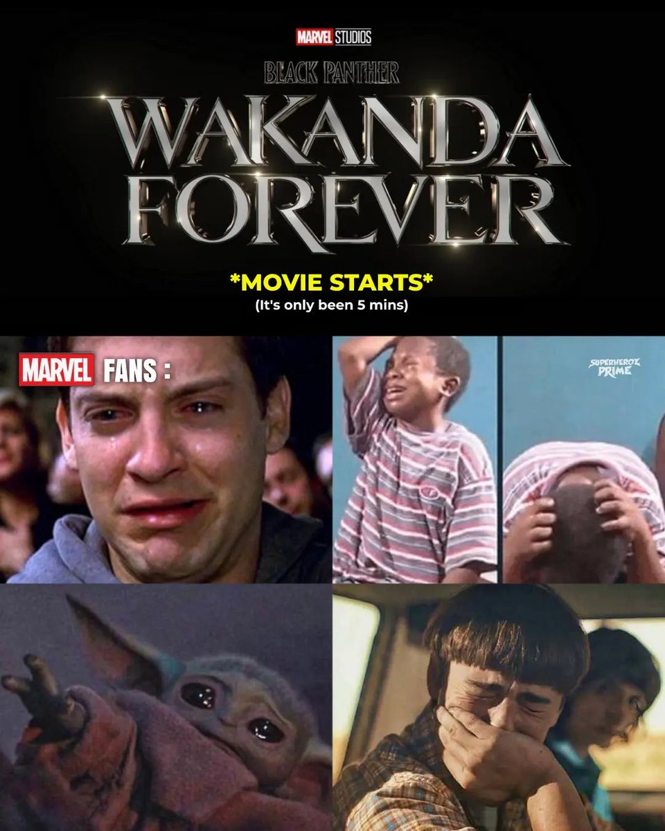 (via <a href="/SuperherozP/">Superheroz Prime (Sam)</a>) #WakandaForever #BlackPanther #BlackPanther2